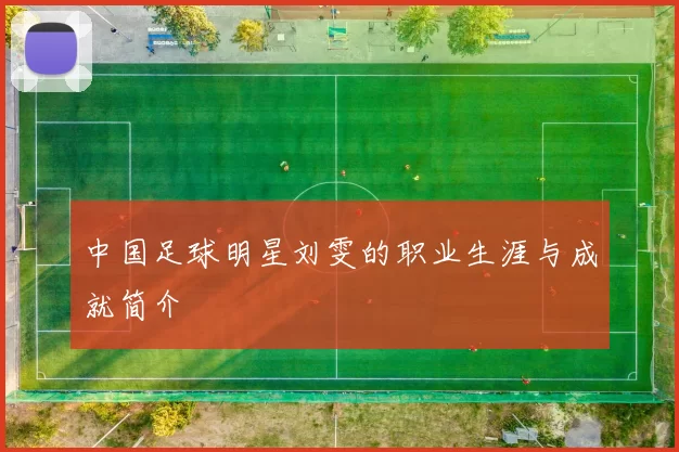 中国足球明星刘雯的职业生涯与成就简介