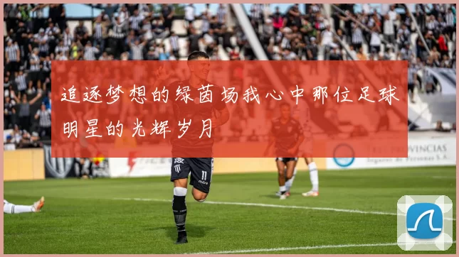 追逐梦想的绿茵场我心中那位足球明星的光辉岁月