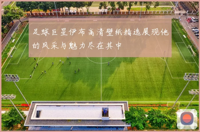 足球巨星伊布高清壁纸精选展现他的风采与魅力尽在其中