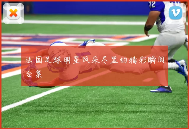 法国足球明星风采尽显的精彩瞬间合集
