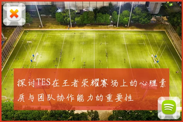 探讨TES在王者荣耀赛场上的心理素质与团队协作能力的重要性