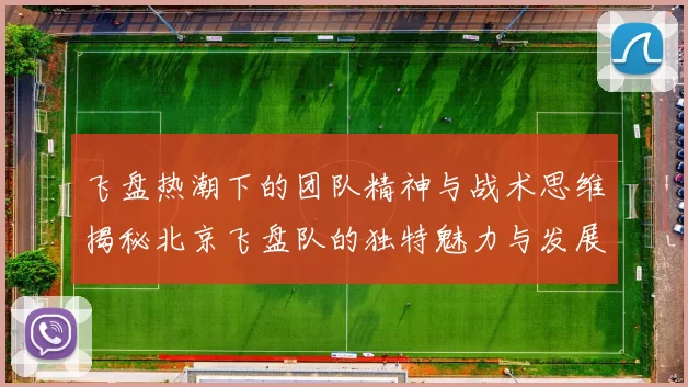 飞盘热潮下的团队精神与战术思维揭秘北京飞盘队的独特魅力与发展之路