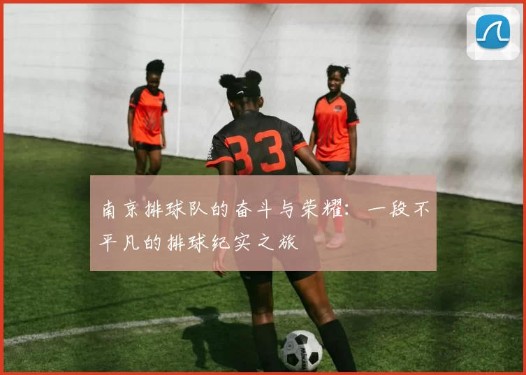 南京排球队的奋斗与荣耀：一段不平凡的排球纪实之旅