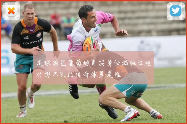 足球明星葡萄的真实身份揭秘你绝对想不到的传奇球员是谁