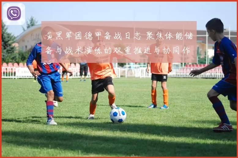 黄黑军团德甲备战日志 聚焦体能储备与战术演练的双重推进与协同作战