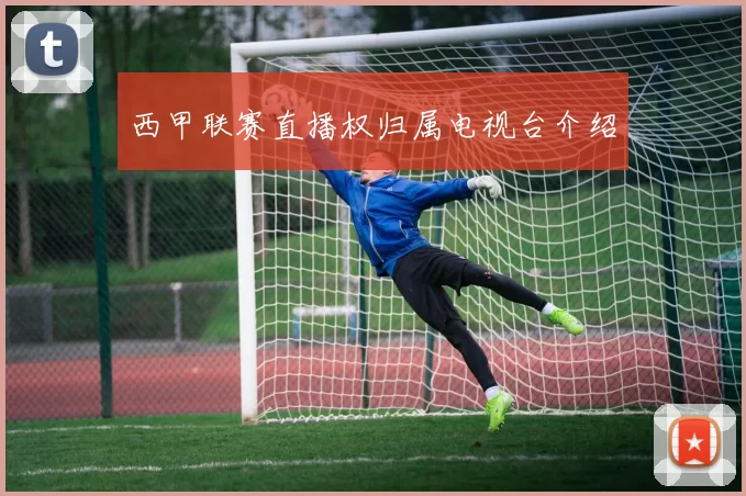 西甲联赛直播权归属电视台介绍