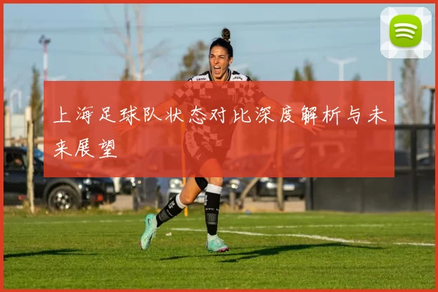 上海足球队状态对比深度解析与未来展望