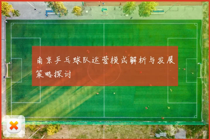 南京乒乓球队运营模式解析与发展策略探讨