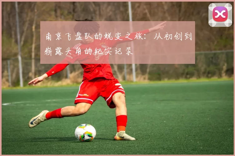 南京飞盘队的蜕变之旅：从初创到崭露头角的纪实记录