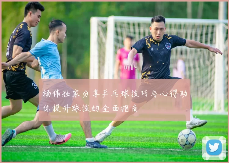 杨伟独家分享乒乓球技巧与心得助你提升球技的全面指南