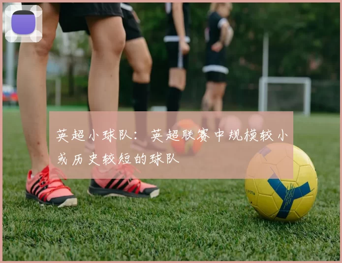 英超小球队：英超联赛中规模较小或历史较短的球队