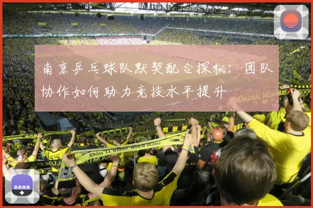 南京乒乓球队默契配合探秘：团队协作如何助力竞技水平提升
