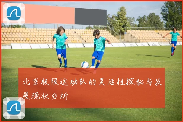 北京极限运动队的灵活性探秘与发展现状分析