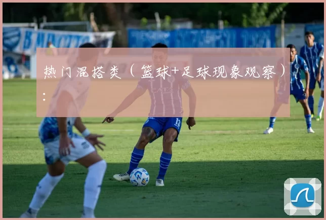 热门混搭类（篮球+足球现象观察）：