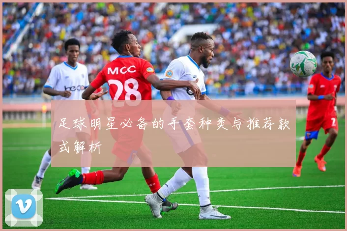 足球明星必备的手套种类与推荐款式解析