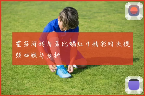 霍芬海姆与莱比锡红牛精彩对决视频回顾与分析