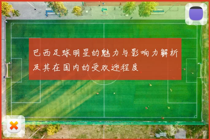 巴西足球明星的魅力与影响力解析及其在国内的受欢迎程度