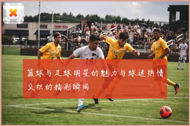 篮球与足球明星的魅力与球迷热情交织的精彩瞬间
