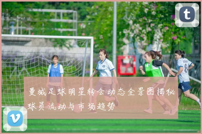 曼城足球明星转会动态全景图揭秘球员流动与市场趋势