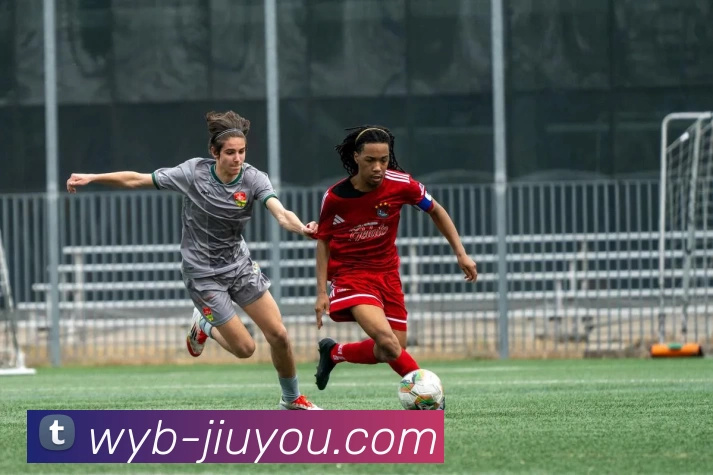 九游娱乐发展历程