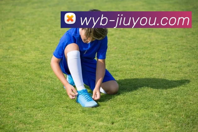 企业概况